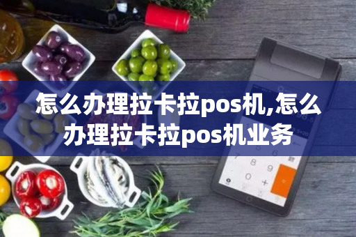 怎么办理拉卡拉pos机,怎么办理拉卡拉pos机业务