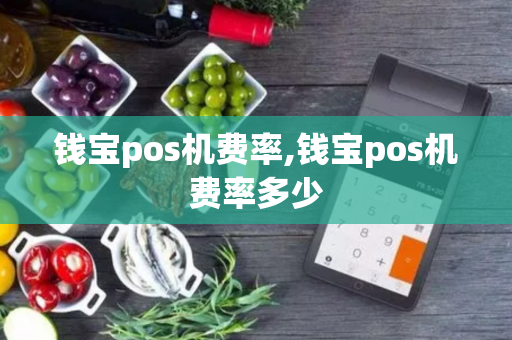 钱宝pos机费率,钱宝pos机费率多少-第1张图片-POS机中心