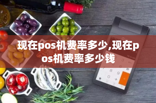 现在pos机费率多少,现在pos机费率多少钱-第1张图片-POS机中心