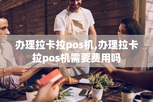 办理拉卡拉pos机,办理拉卡拉pos机需要费用吗-第1张图片-POS机中心