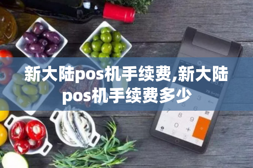 新大陆pos机手续费,新大陆pos机手续费多少