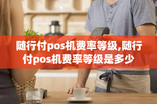 随行付pos机费率等级,随行付pos机费率等级是多少-第1张图片-POS机中心