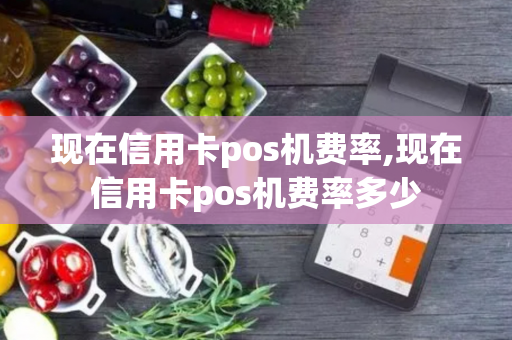 现在信用卡pos机费率,现在信用卡pos机费率多少-第1张图片-POS机中心