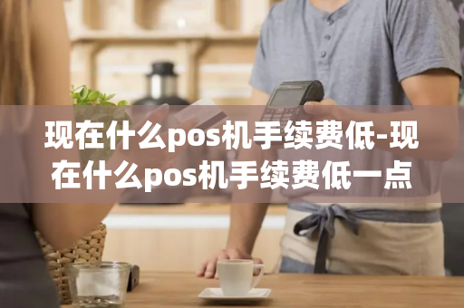 现在什么pos机手续费低-现在什么pos机手续费低一点