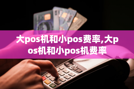 大pos机和小pos费率,大pos机和小pos机费率-第1张图片-POS机中心