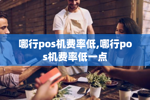 哪行pos机费率低,哪行pos机费率低一点-第1张图片-POS机中心