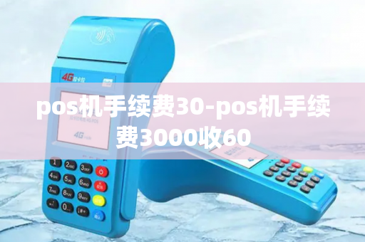 pos机手续费30-pos机手续费3000收60-第1张图片-POS机中心