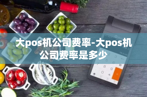 大pos机公司费率-大pos机公司费率是多少-第1张图片-POS机中心