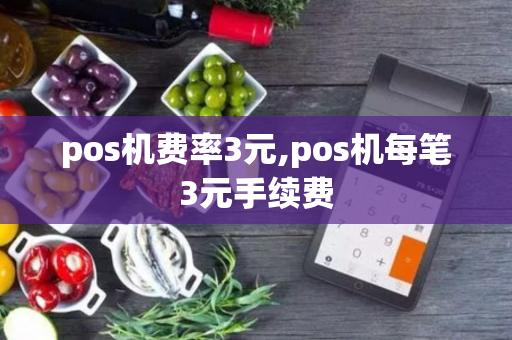 pos机费率3元,pos机每笔3元手续费-第1张图片-POS机中心