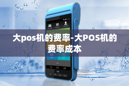 大pos机的费率-大POS机的费率成本-第1张图片-POS机中心