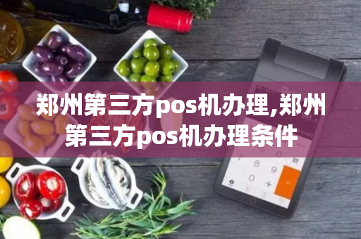 郑州第三方pos机办理,郑州第三方pos机办理条件-第1张图片-POS机中心