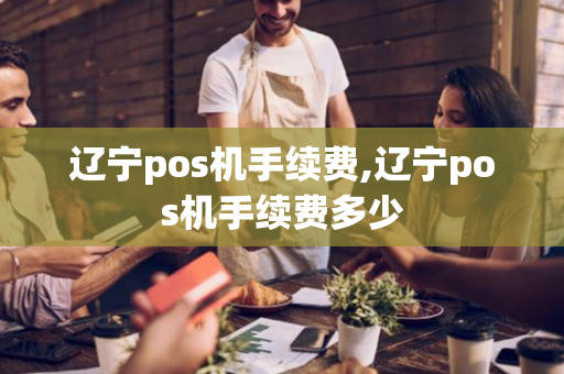 辽宁pos机手续费,辽宁pos机手续费多少-第1张图片-POS机中心