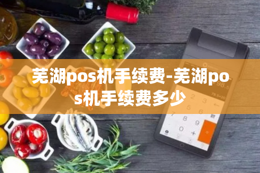 芜湖pos机手续费-芜湖pos机手续费多少-第1张图片-POS机中心