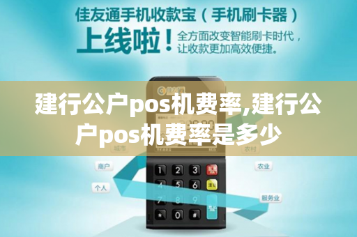 建行公户pos机费率,建行公户pos机费率是多少