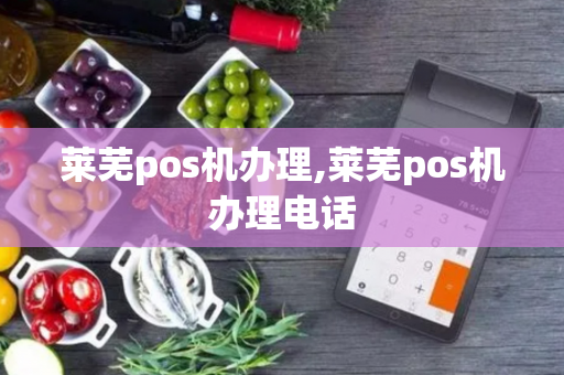 莱芜pos机办理,莱芜pos机办理电话