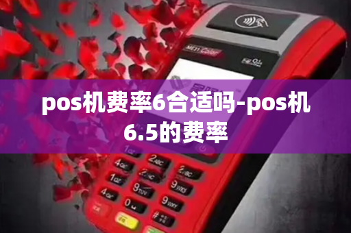 pos机费率6合适吗-pos机6.5的费率-第1张图片-POS机中心