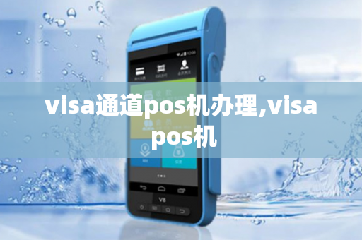 visa通道pos机办理,visa pos机-第1张图片-POS机中心