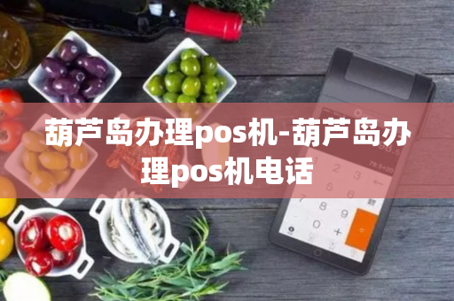 葫芦岛办理pos机-葫芦岛办理pos机电话-第1张图片-POS机中心