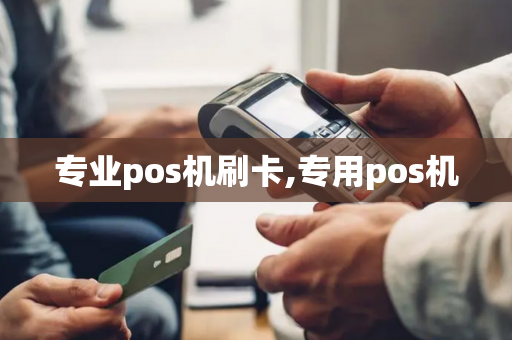 专业pos机刷卡,专用pos机-第1张图片-POS机中心