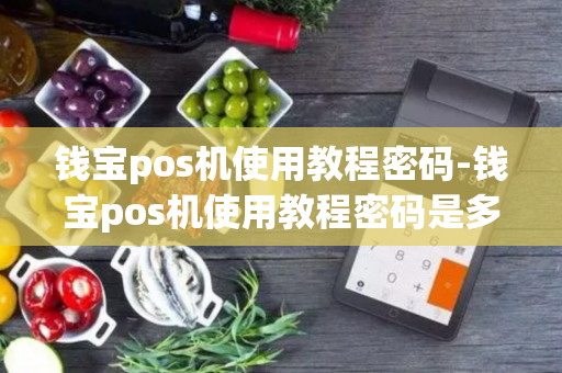 钱宝pos机使用教程密码-钱宝pos机使用教程密码是多少-第1张图片-POS机中心