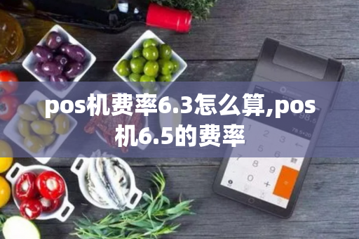 pos机费率6.3怎么算,pos机6.5的费率