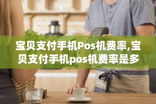 宝贝支付手机Pos机费率,宝贝支付手机pos机费率是多少-第1张图片-POS机中心