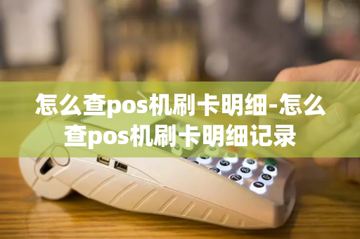 怎么查pos机刷卡明细-怎么查pos机刷卡明细记录-第1张图片-POS机中心