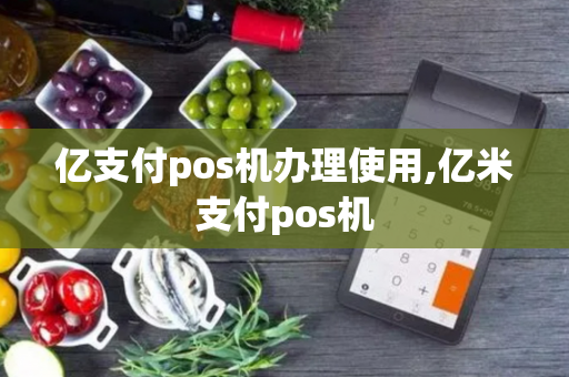 亿支付pos机办理使用,亿米支付pos机-第1张图片-POS机中心