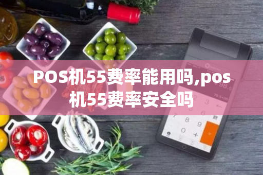 POS机55费率能用吗,pos机55费率安全吗-第1张图片-POS机中心