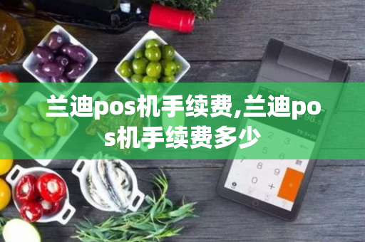 兰迪pos机手续费,兰迪pos机手续费多少