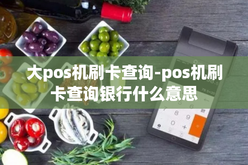 大pos机刷卡查询-pos机刷卡查询银行什么意思-第1张图片-POS机中心