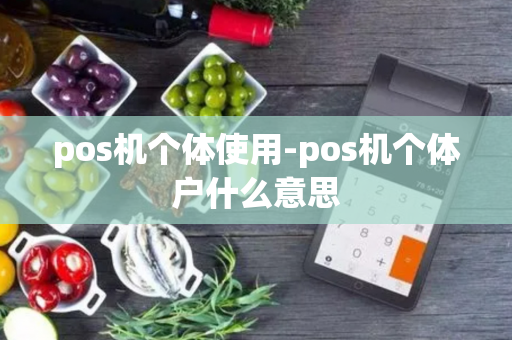 pos机个体使用-pos机个体户什么意思