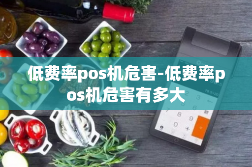 低费率pos机危害-低费率pos机危害有多大-第1张图片-POS机中心