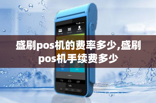 盛刷pos机的费率多少,盛刷pos机手续费多少-第1张图片-POS机中心