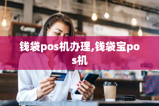 钱袋pos机办理,钱袋宝pos机-第1张图片-POS机中心