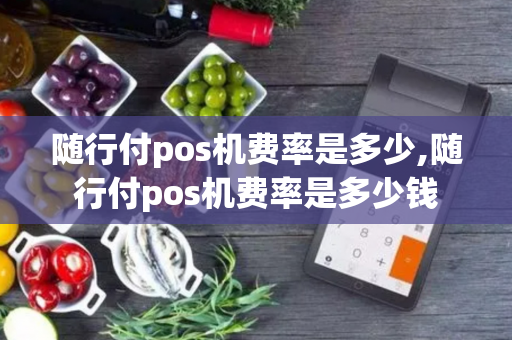 随行付pos机费率是多少,随行付pos机费率是多少钱-第1张图片-POS机中心