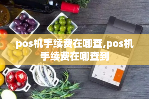 pos机手续费在哪查,pos机手续费在哪查到