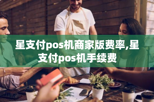 星支付pos机商家版费率,星支付pos机手续费-第1张图片-POS机中心