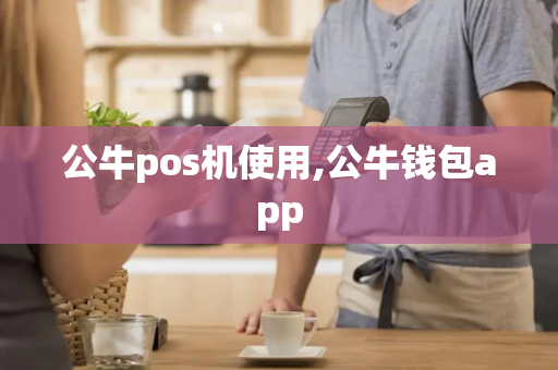 公牛pos机使用,公牛钱包app