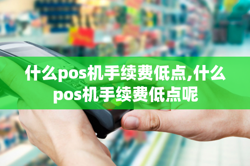 什么pos机手续费低点,什么pos机手续费低点呢-第1张图片-POS机中心