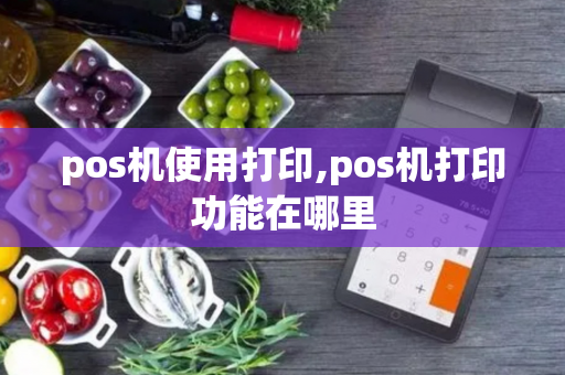 pos机使用打印,pos机打印功能在哪里