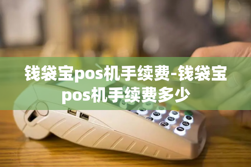 钱袋宝pos机手续费-钱袋宝pos机手续费多少