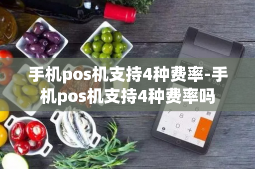 手机pos机支持4种费率-手机pos机支持4种费率吗