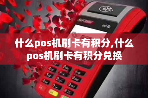 什么pos机刷卡有积分,什么pos机刷卡有积分兑换