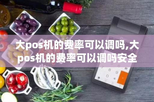 大pos机的费率可以调吗,大pos机的费率可以调吗安全吗