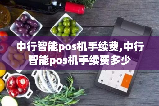 中行智能pos机手续费,中行智能pos机手续费多少