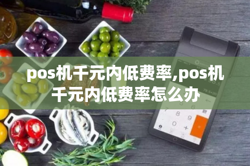 pos机千元内低费率,pos机千元内低费率怎么办