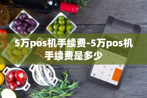 5万pos机手续费-5万pos机手续费是多少