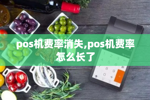 pos机费率消失,pos机费率怎么长了