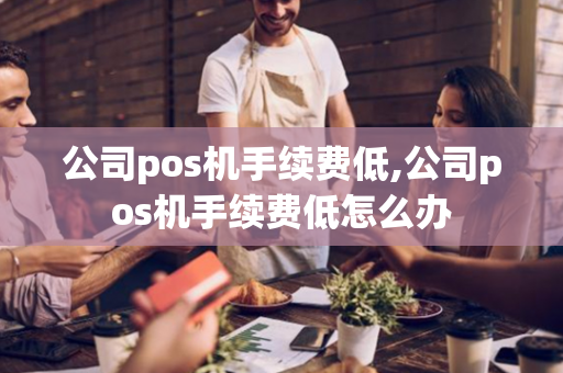 公司pos机手续费低,公司pos机手续费低怎么办-第1张图片-POS机中心